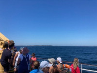 Picture titled: Our journey over - a glorious day and a calm crossing