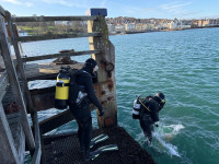 Picture titled: No turning back now...