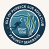 Logo for project report
